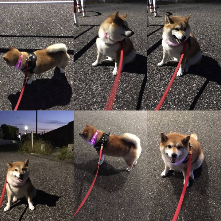 F9d6f7fe 9100 420b b670 950005d70ced 1593688388761