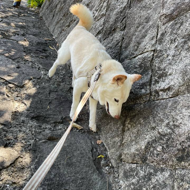 F9d7218f b931 499f a978 c3ca05bd619b 1635603264332