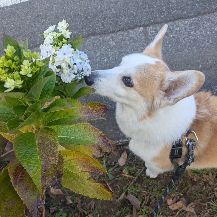 F9d72bae 4a68 4578 8941 7ae3873655be 1764389206360