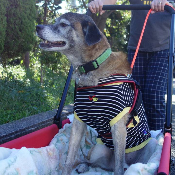 F9d730d3 e44e 4e31 a7fb 47a737da488a 1570925266705