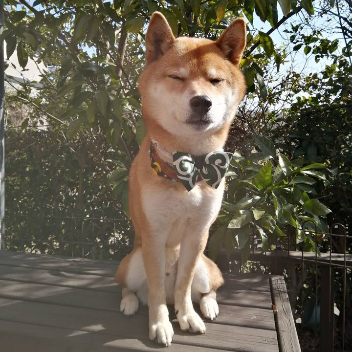 F9d7390e 32a3 4f65 9027 2dc4a7539e43 1581470781926