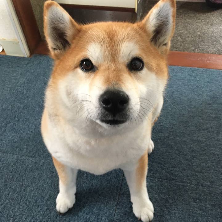 F9d754fe 881a 4779 9447 43db9649bb73 1578538996011