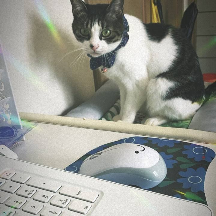 F9d762d4 12e9 4fb9 93dc 6e2ebc925868 1585282360497