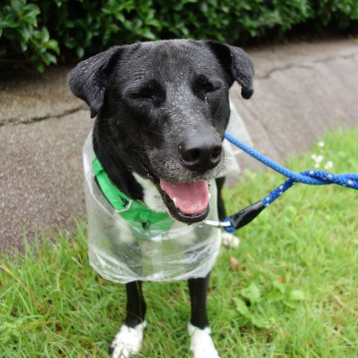 F9d771a6 1064 4666 901e 6f8bfacd5f7c 1595723074499