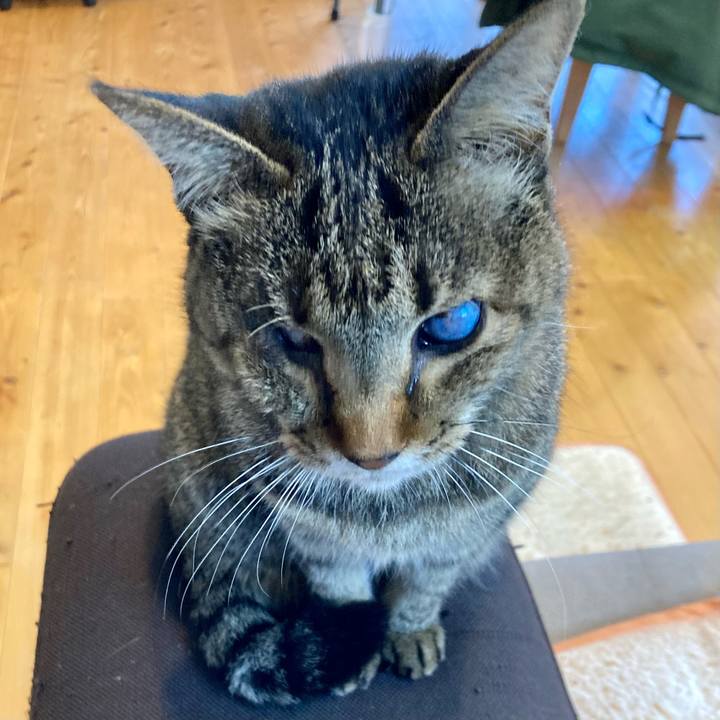 F9d789b5 5de2 41e4 af72 86c680db688b 1642827607093