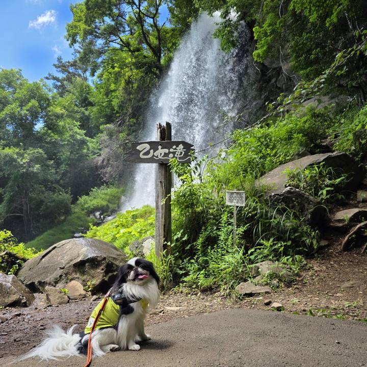 F9d7b907 31b9 4b06 b99d 0b0618cb4fc3 1752484392801