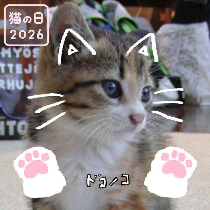 F9d7f4e2 3235 43d4 855d 40cb2505c9ce 1771768375783