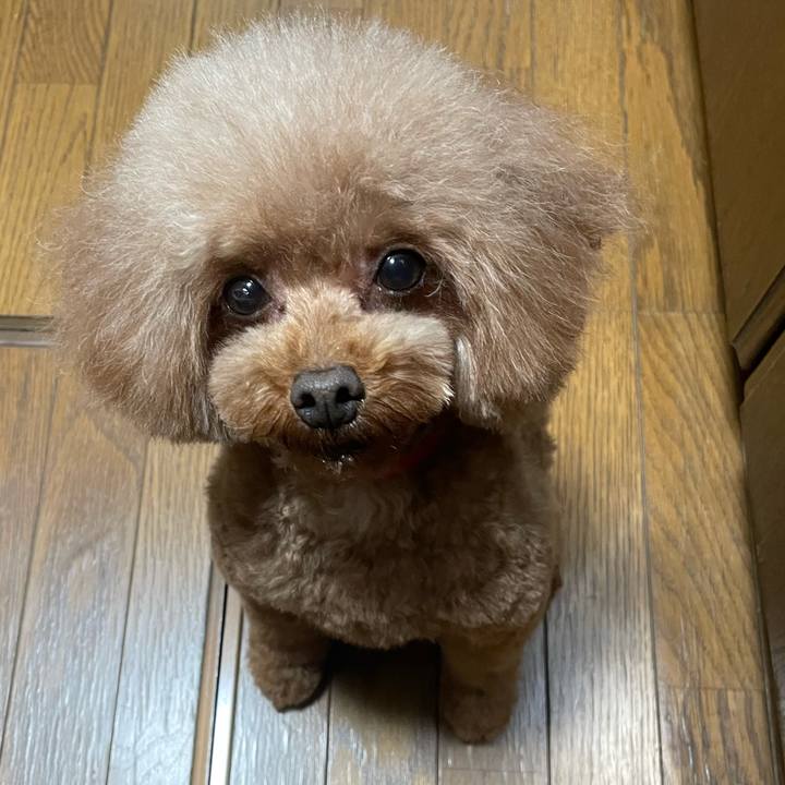 F9d860f1 d44a 43e1 b7ec 2cab1429bfb9 1648270354497