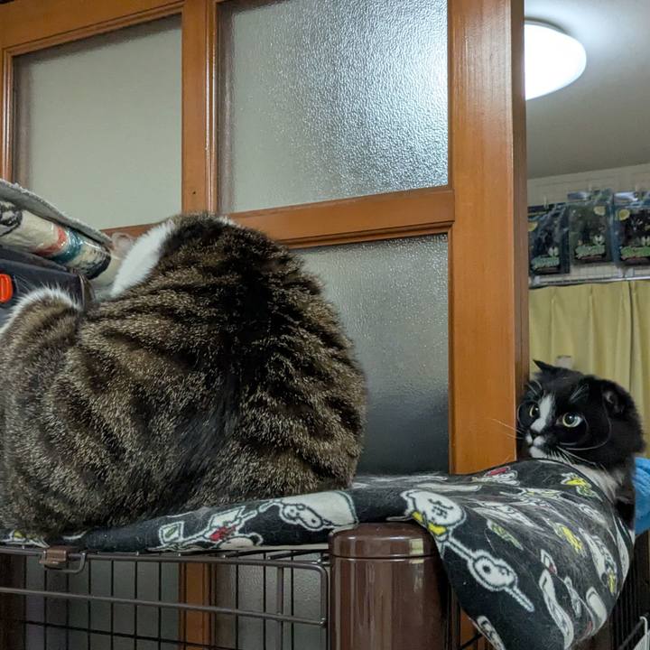 F9d8ad7e 745b 4592 9c94 d1dfbcc97f9b 1743075003992