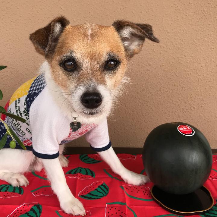 F9d8bd2a 8efa 4c39 aefe 7cfdf13e78a2 1562839206602