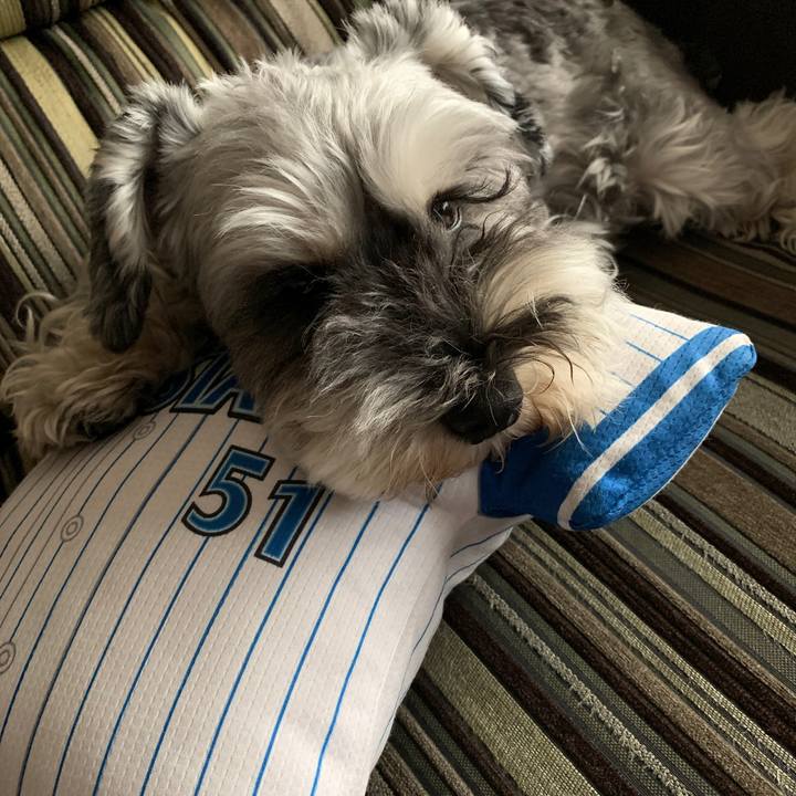 F9d8ca9e f5ee 42bd aa99 72e24e278e81 1601694322308