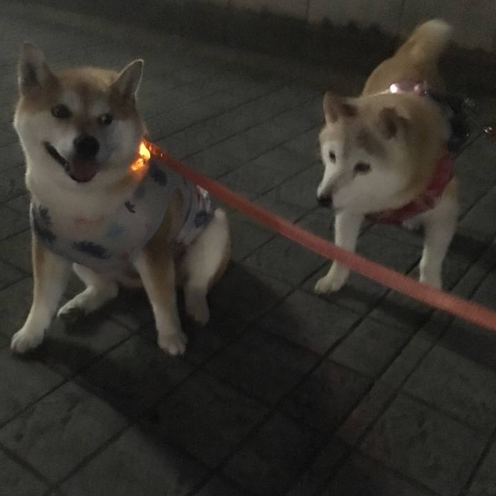 F9d8e344 eced 423f 808f 6443df549b1d 1565180039784