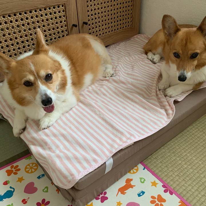 F9d8e6ac 2244 4dca 9100 a1abefb2bd12 1689815908649