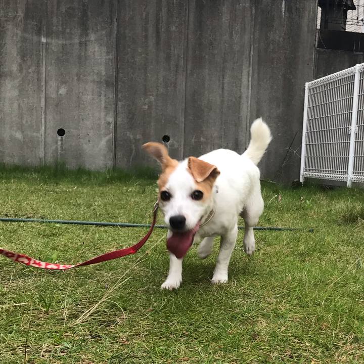 F9d90440 d1b4 4c2f a399 fb4e726488b5 1561983696912