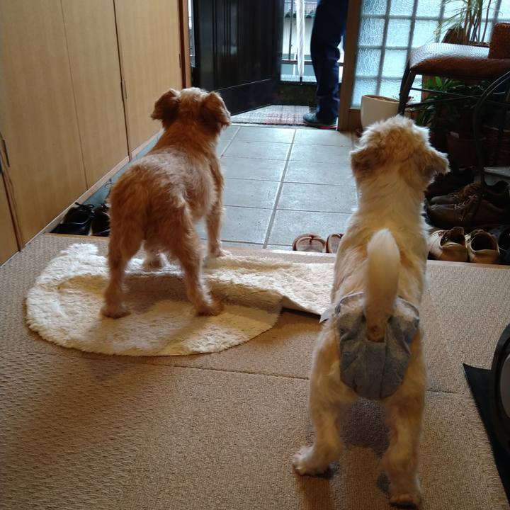 F9d933ee 7d28 4555 ae47 70ae97c7e7b6 1599001951633