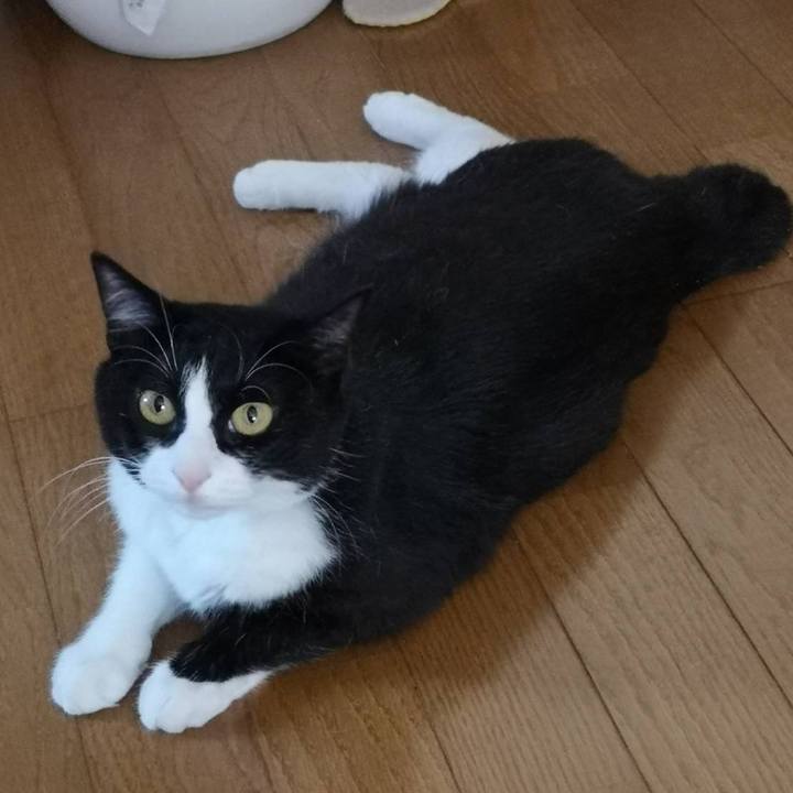 F9d937ea b5e4 478f 8fca f8a5eda3da51 1626407731093