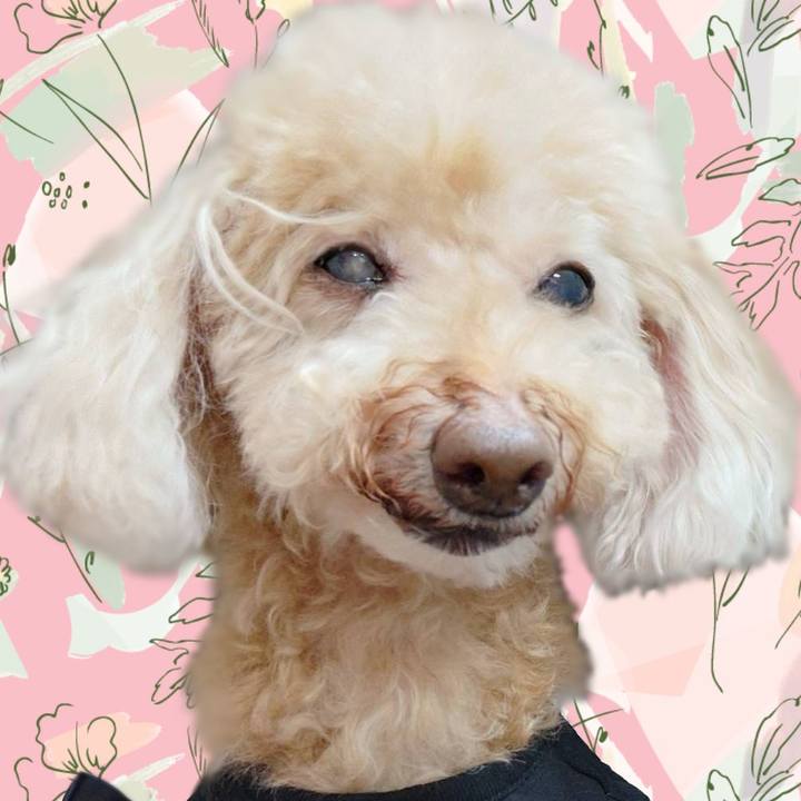 F9d9417b 4fa3 4821 b8f0 1a7320914be2 1700729251391