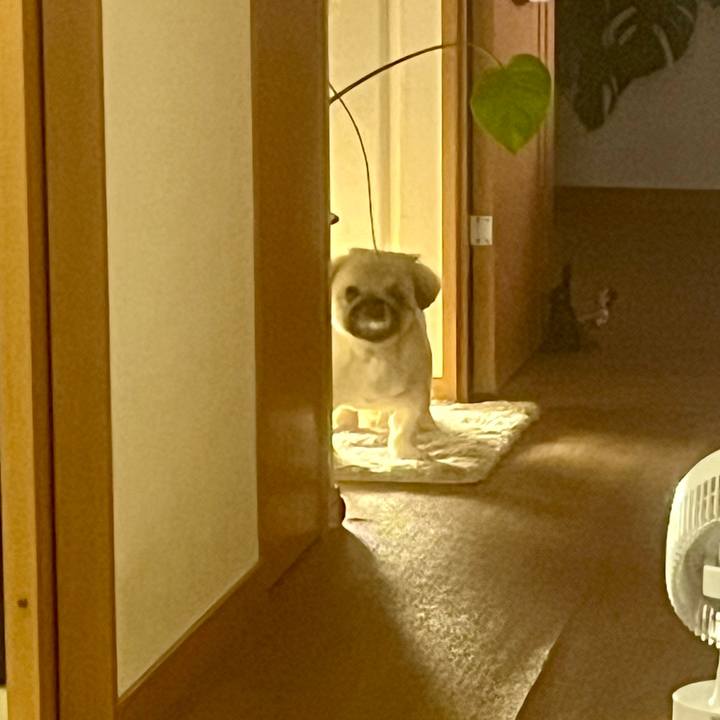 F9d9e271 cf80 4a4a a37e bc8dfb02c77f 1726608331849