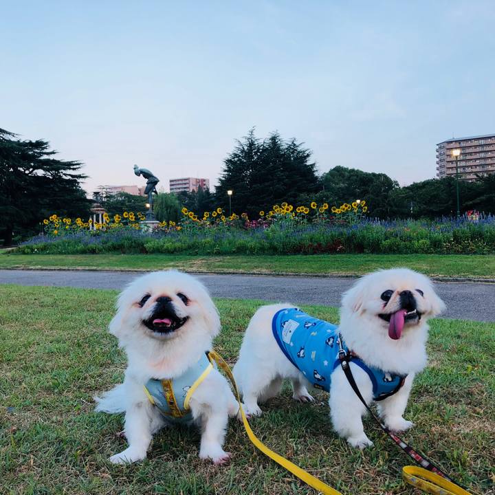 F9d9f100 c74a 4f2b bb1e 92bc4a902123 1597797851284