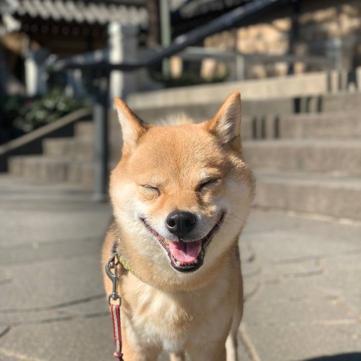 F9d9f25e 2e3c 42df 978f 00be22172bc9 1770179917265