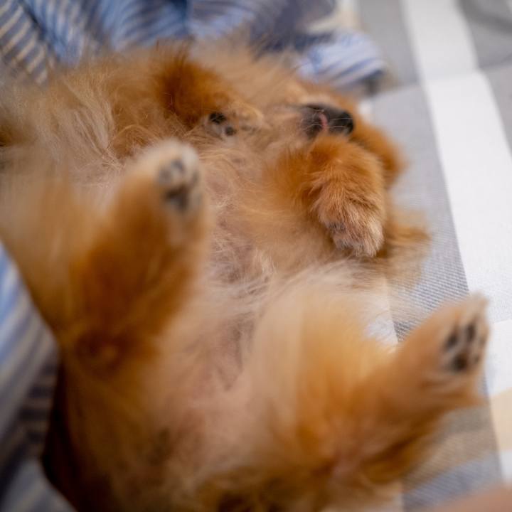 F9d9fb59 7530 4fe3 86d6 698bc5800518 1627522931464