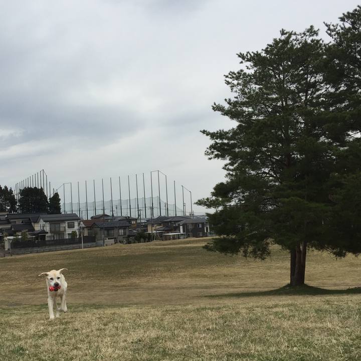 F9da232c 5b81 41b8 aa7a 45f90d3c1fd4 1523421855831