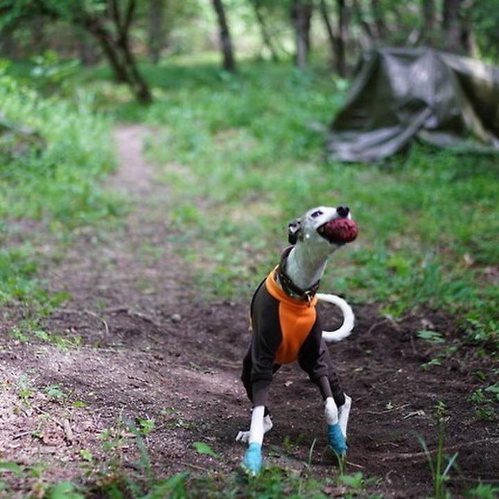 F9da2874 5c89 4d0b 8d0f a864e02e7713 1532341326183