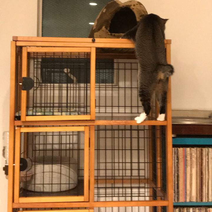 F9da2cfa 8c5b 4055 a17b 140e411efc09 1514256393850