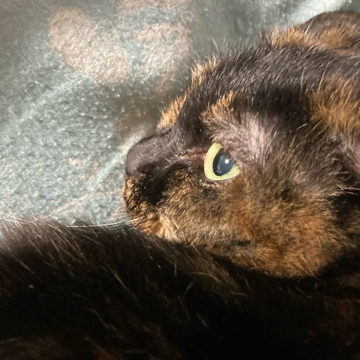 F9da4d8c 89e0 479a 9439 c3fad565bc12 1764112835294