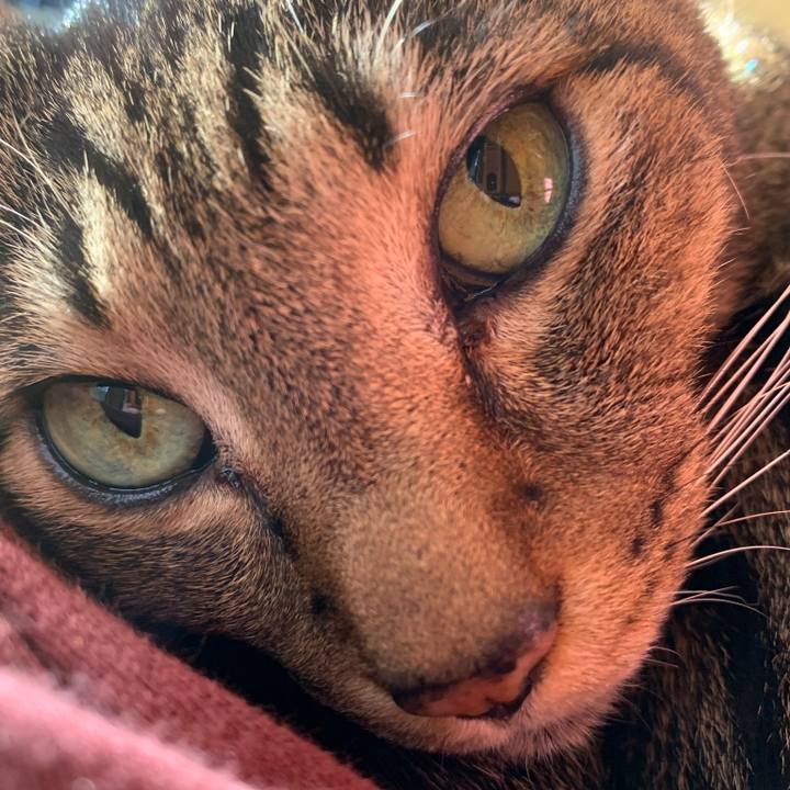 F9da6588 1f12 47c0 90fc 8e75c50e7429 1543628525563