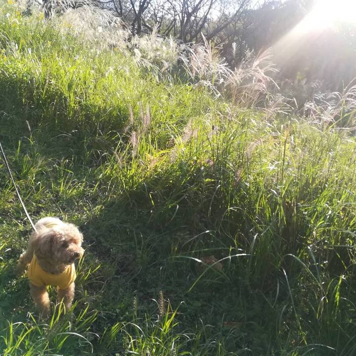 F9da79b5 87e7 448f b4f0 1bc1ed18109d 1540105214094