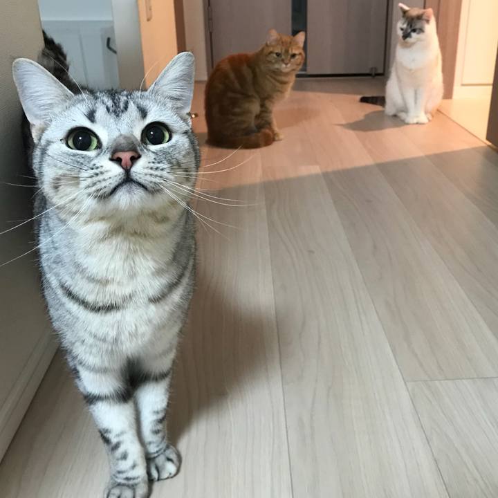 F9daffa2 a113 4ad5 aa0f f0a892a61920 1518992203272