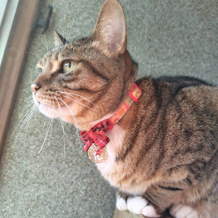 F9db0652 b0d2 464d 99f4 459faed98c69 1764373571827