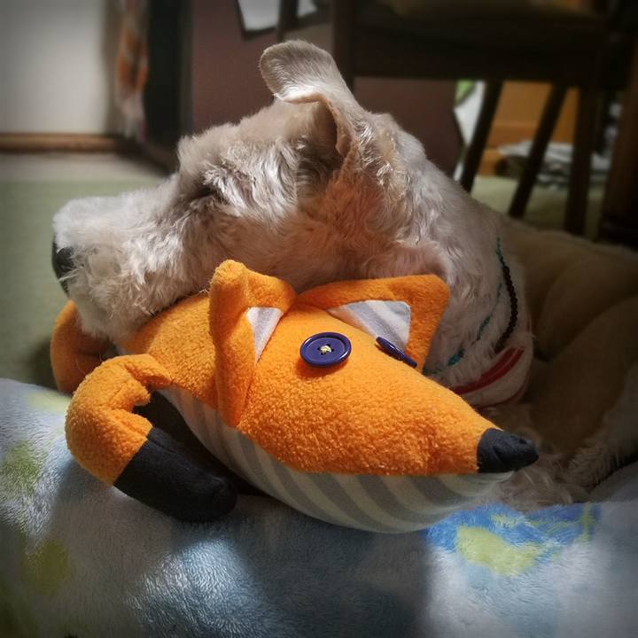 F9db07f4 89b5 4ac7 84c3 2a5f33d126c9 1548335672194