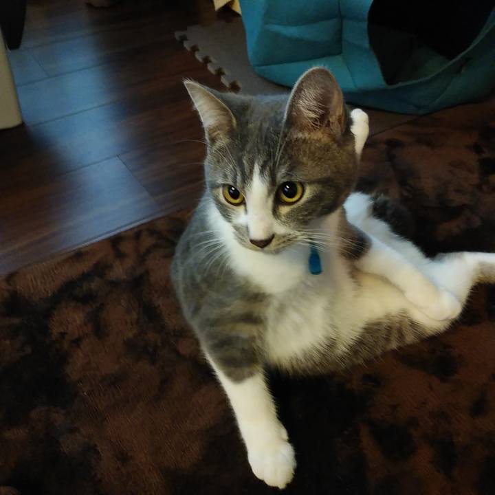 F9db2f8c f971 4979 b29b 74be3f6e9a6c 1575675758178