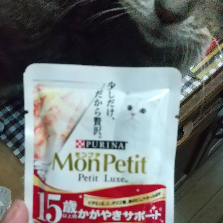 F9db324e 87ec 41a1 869e 87fa75c98257 1658270608437