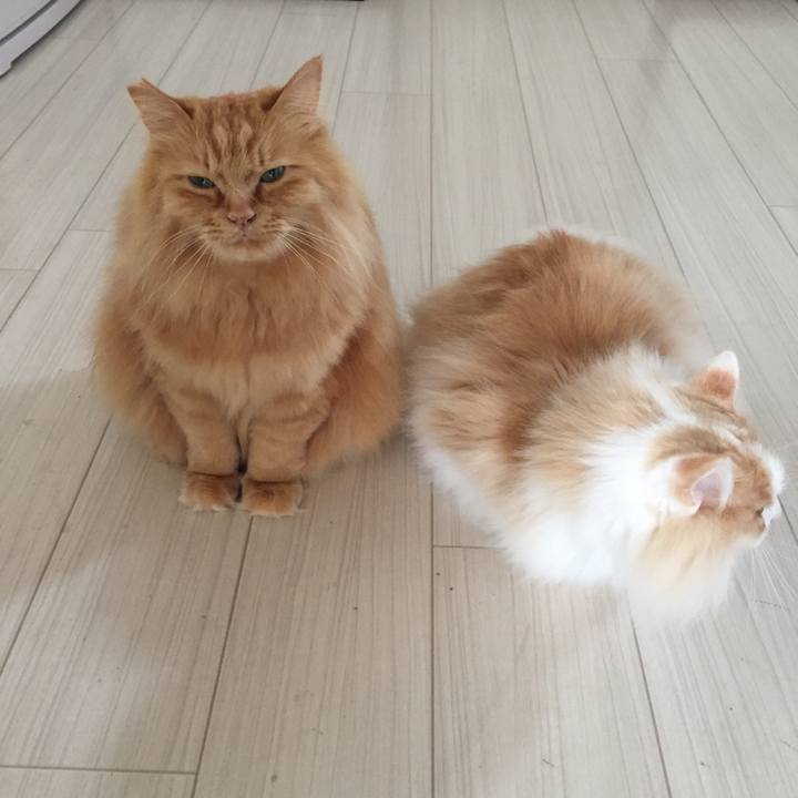 F9db3791 12be 4a5b 9f48 2d92fd68dd69 1525898360504