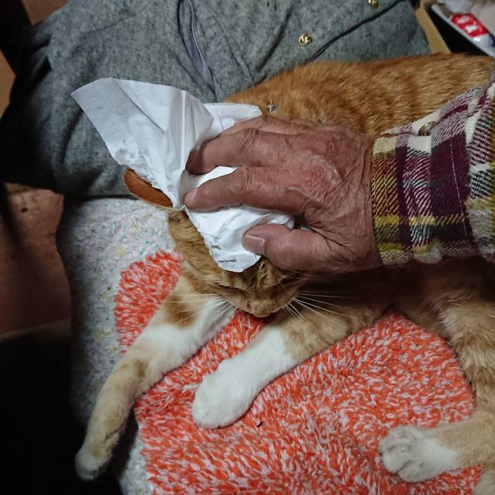 F9db6150 afaa 410a a73a cc0d08527870 1574161231313