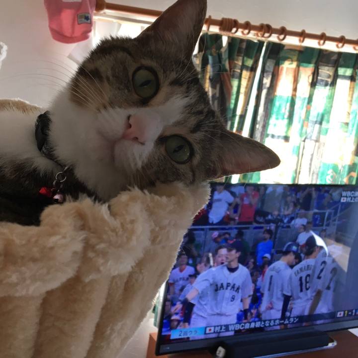 F9db6cac 5b5a 4b50 9608 8ccefbe740ac 1679506515414