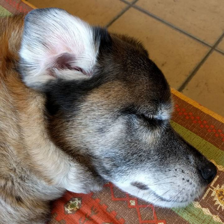 F9db71f9 8c15 44ae 9af8 668d93f5289c 1555942607048