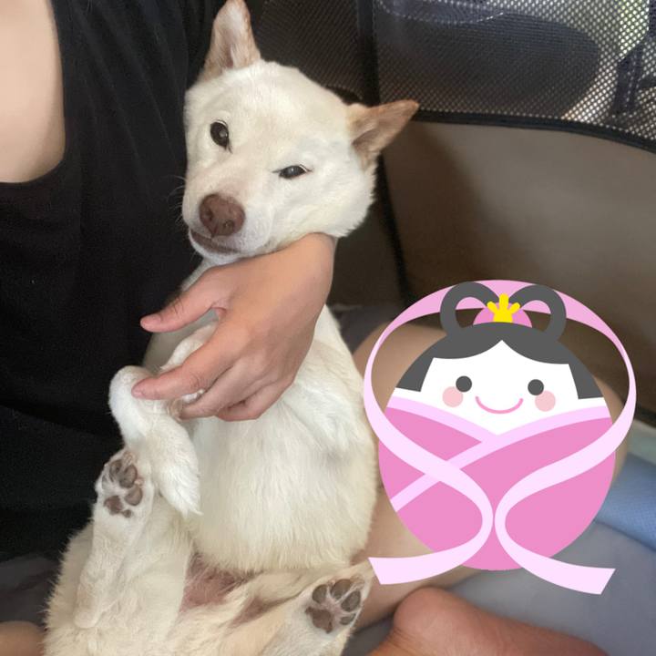 F9db92c3 0095 4014 b7db 600c3b45485a 1656738547185