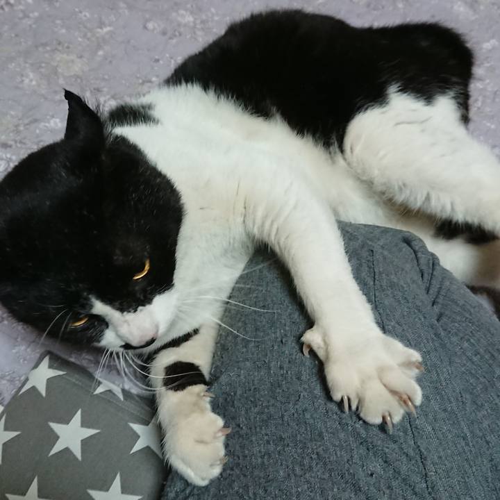 F9dbc1c1 ecac 40da 9794 deab895a0b51 1551096051356