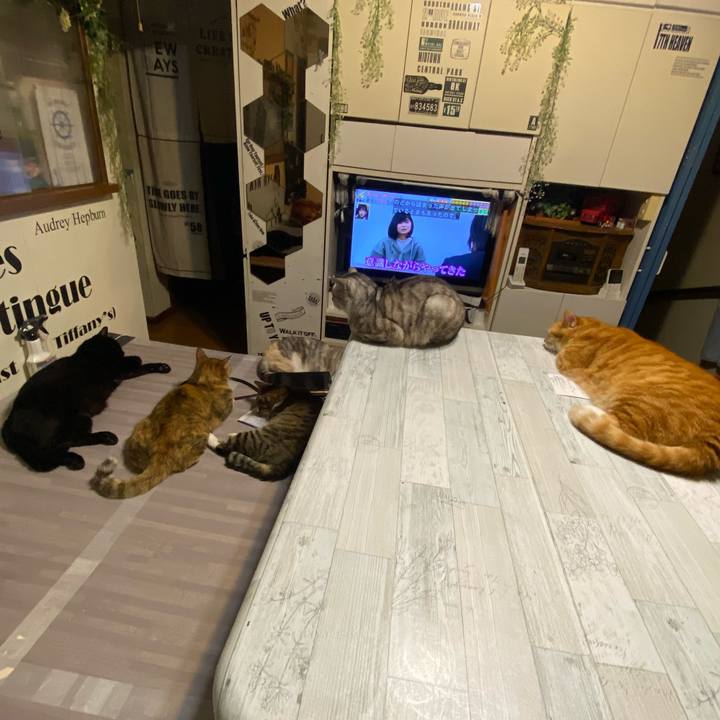 F9dbd28c adf8 4e10 87fb e0beb9845a80 1621255110979