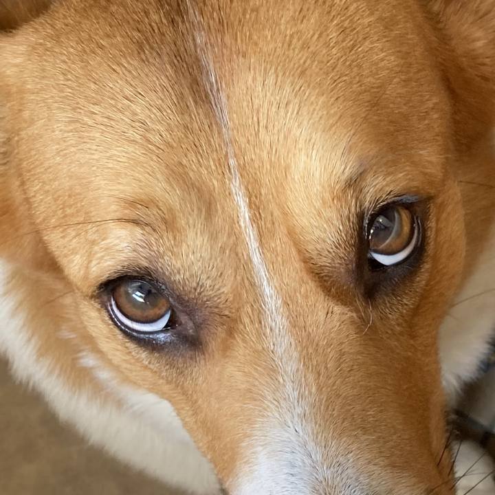 F9dbf7ed b630 4c0a 939e 5db594563a6b 1692486493276