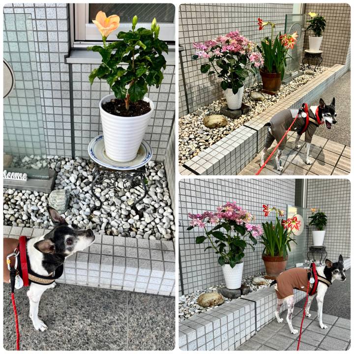 F9dc1e84 e50b 4853 a820 f4e2829a2031 1654124312390