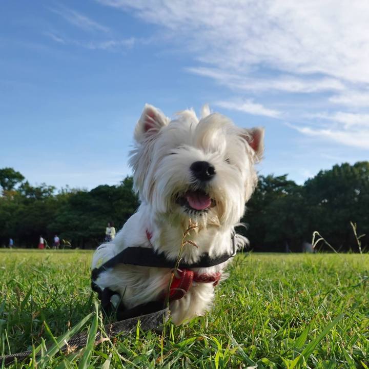 F9dc1ed8 8034 48bd b511 8db011a41679 1530446092099