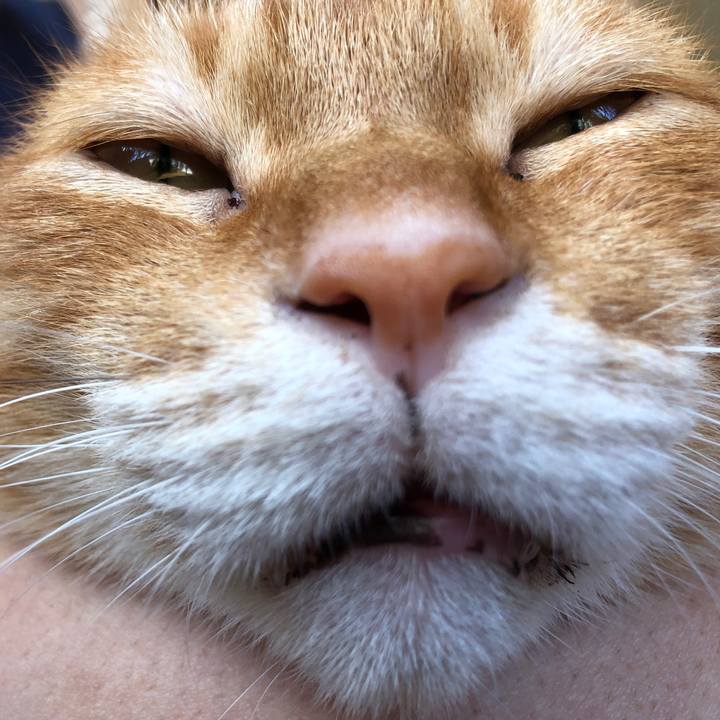 F9dc3da5 5550 4b6c a36f 88f86c4e8efc 1728088928631