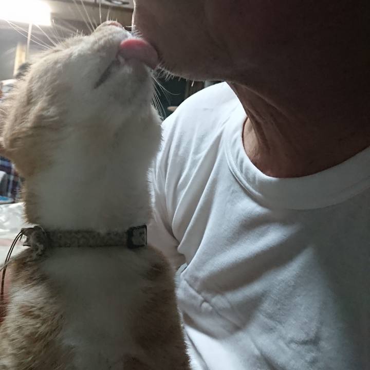 F9dc9d1e 8e2c 4820 98a2 b3b3cab3b006 1594378814274