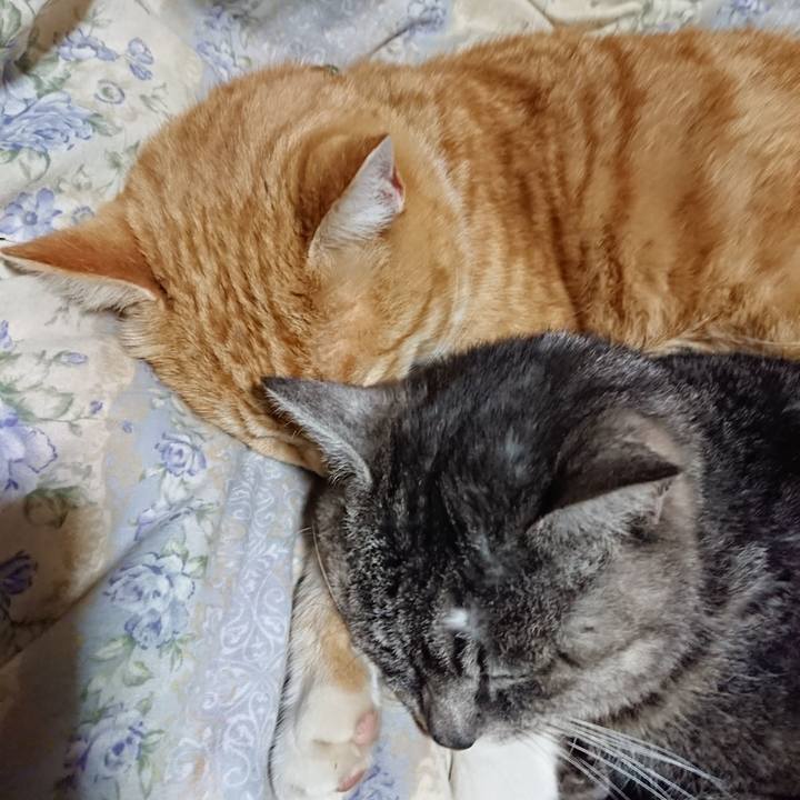 F9dca9bb 2b1b 4a29 a90d 6a9dba67aed9 1582977742216