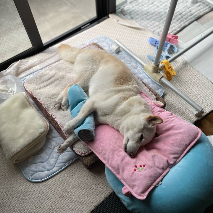 F9dcd0d7 e67f 499a b498 4fb35c3aea38 1648696345720